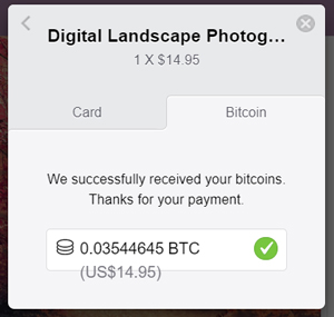 add bitcoin to stripe account