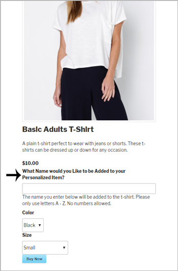 custom-field-for-stripe-payments