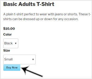no-custom-fields-dispalyed-stripe-payments
