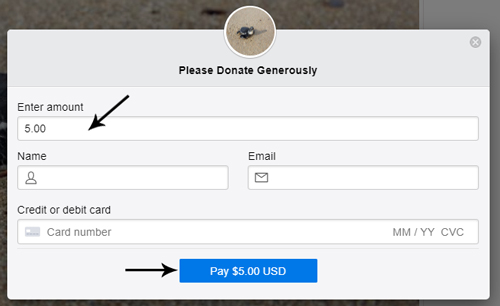 donation-button-for-stripe-payments-plugin