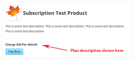 subscription-example-with-custom-plan-description